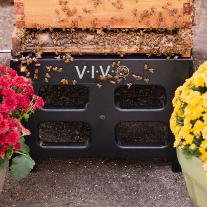 Beehive Screened Bottom Board