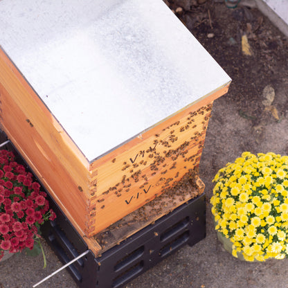 Beehive Screened Bottom Board