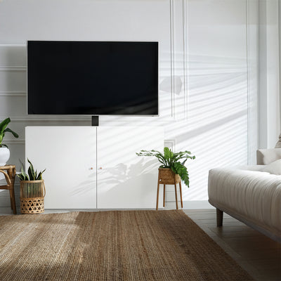 Modern living room with a television concealed in a TV cabinet, plants, and a rug.