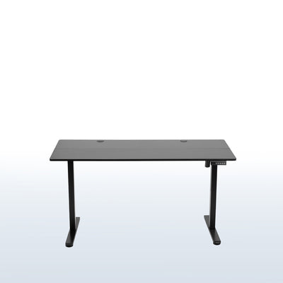 55" x 24" Electric Sit Stand Desk, Height Adjustable Workstation
