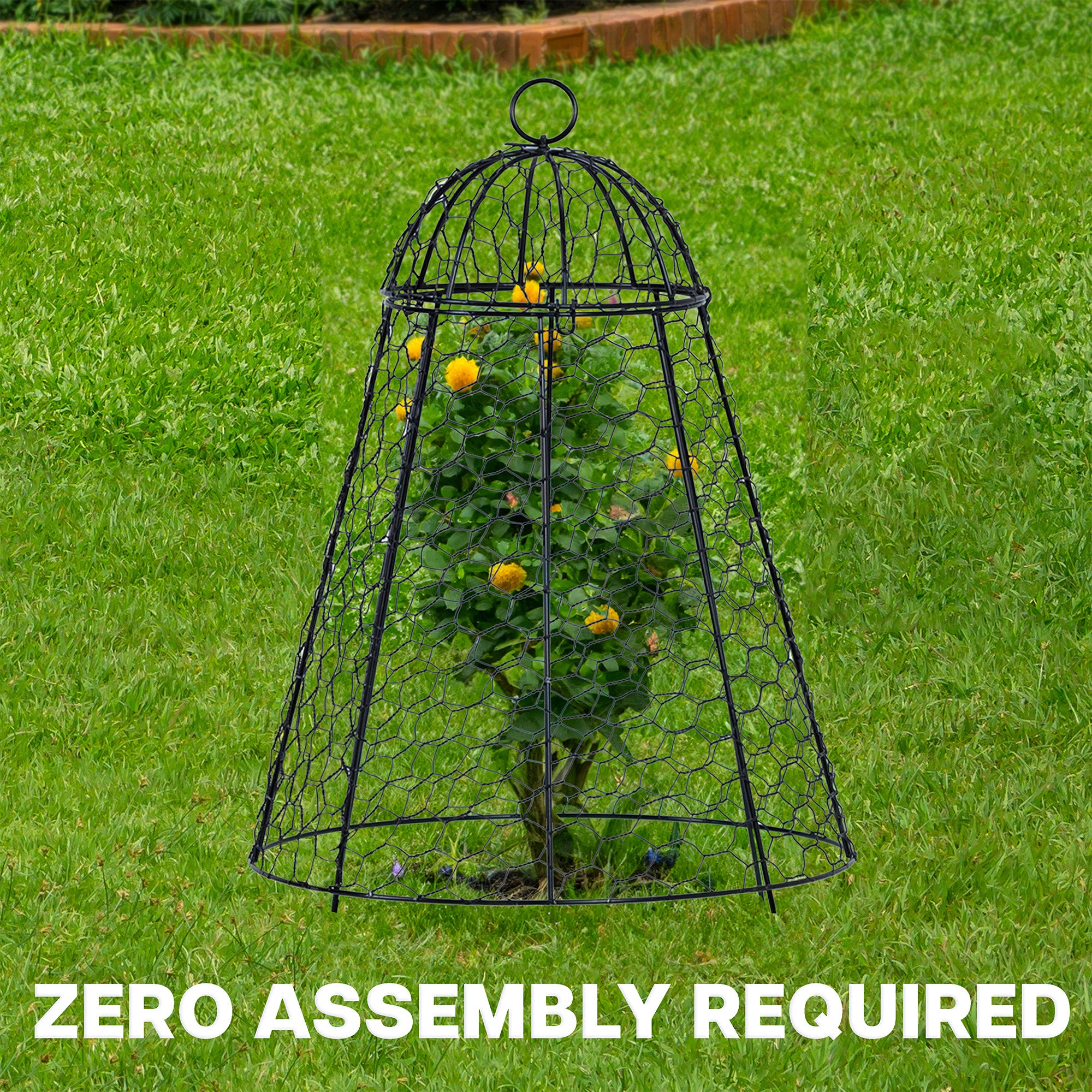 Black metal garden cloche with plants on a grassy background, featuring text 'Zero Assembly Required'.