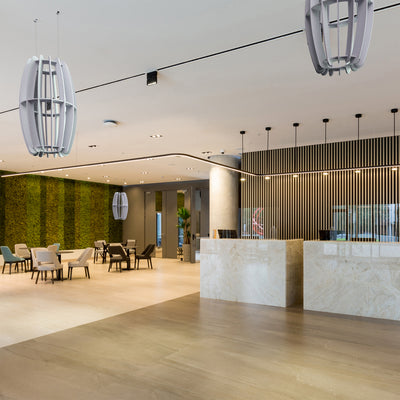 A large oval-shaped acoustic ceiling sound absorber in a light gray color in a minimalist restaurant setting. 