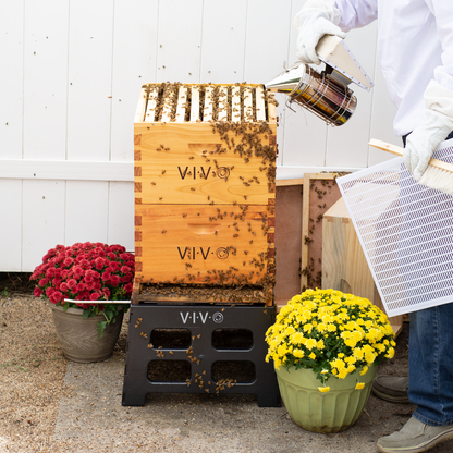 Black Durable Plastic Beehive Stand