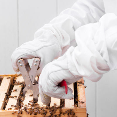 Medium Leather Beekeeping Gloves