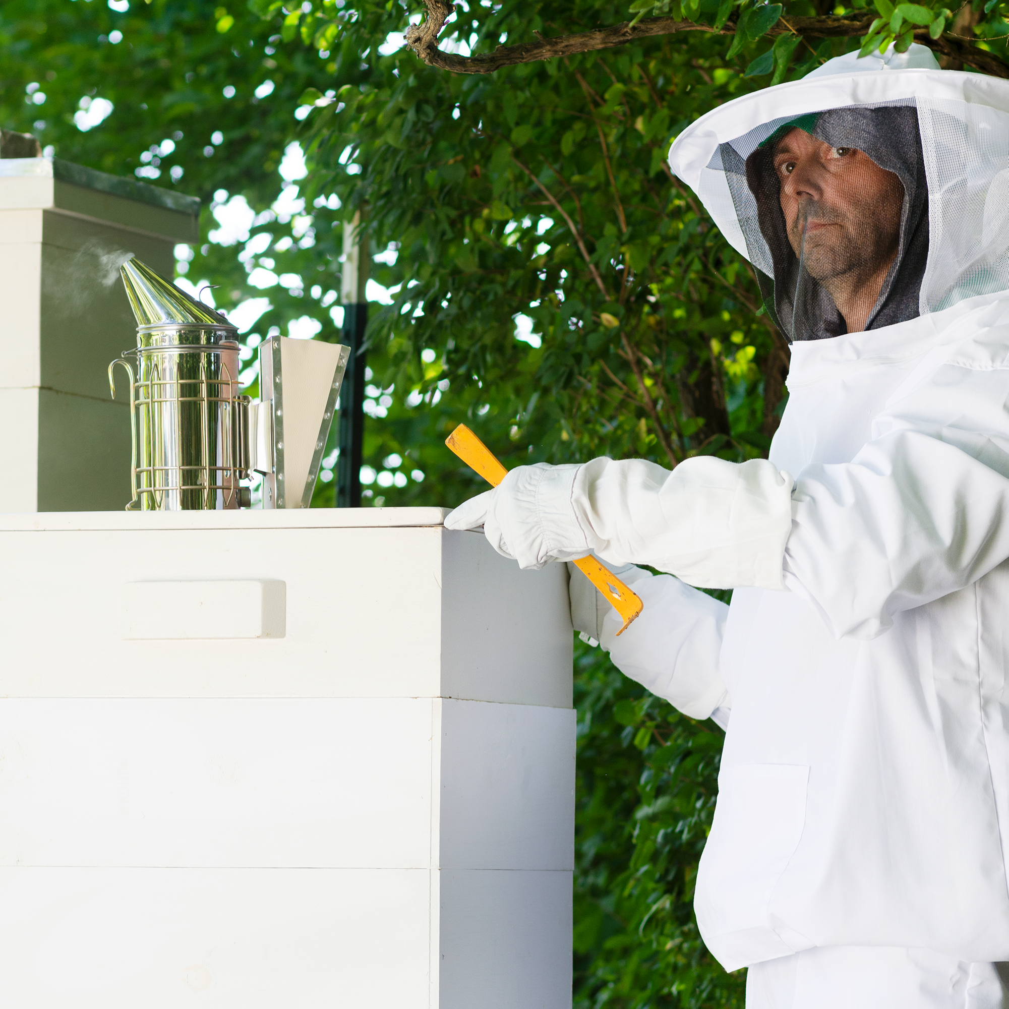 Extra Large Beekeeping Jacket