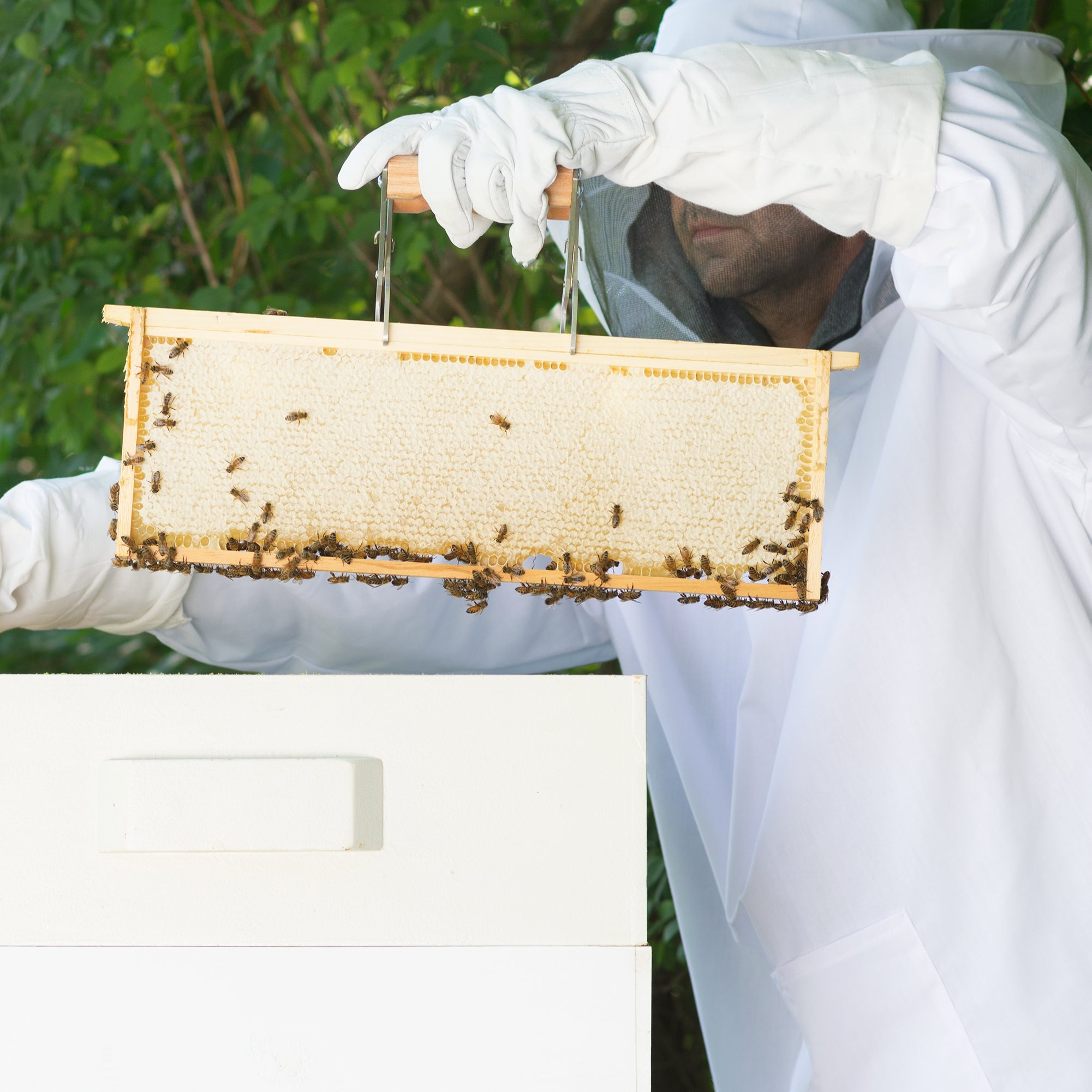 Extra Large Beekeeping Jacket