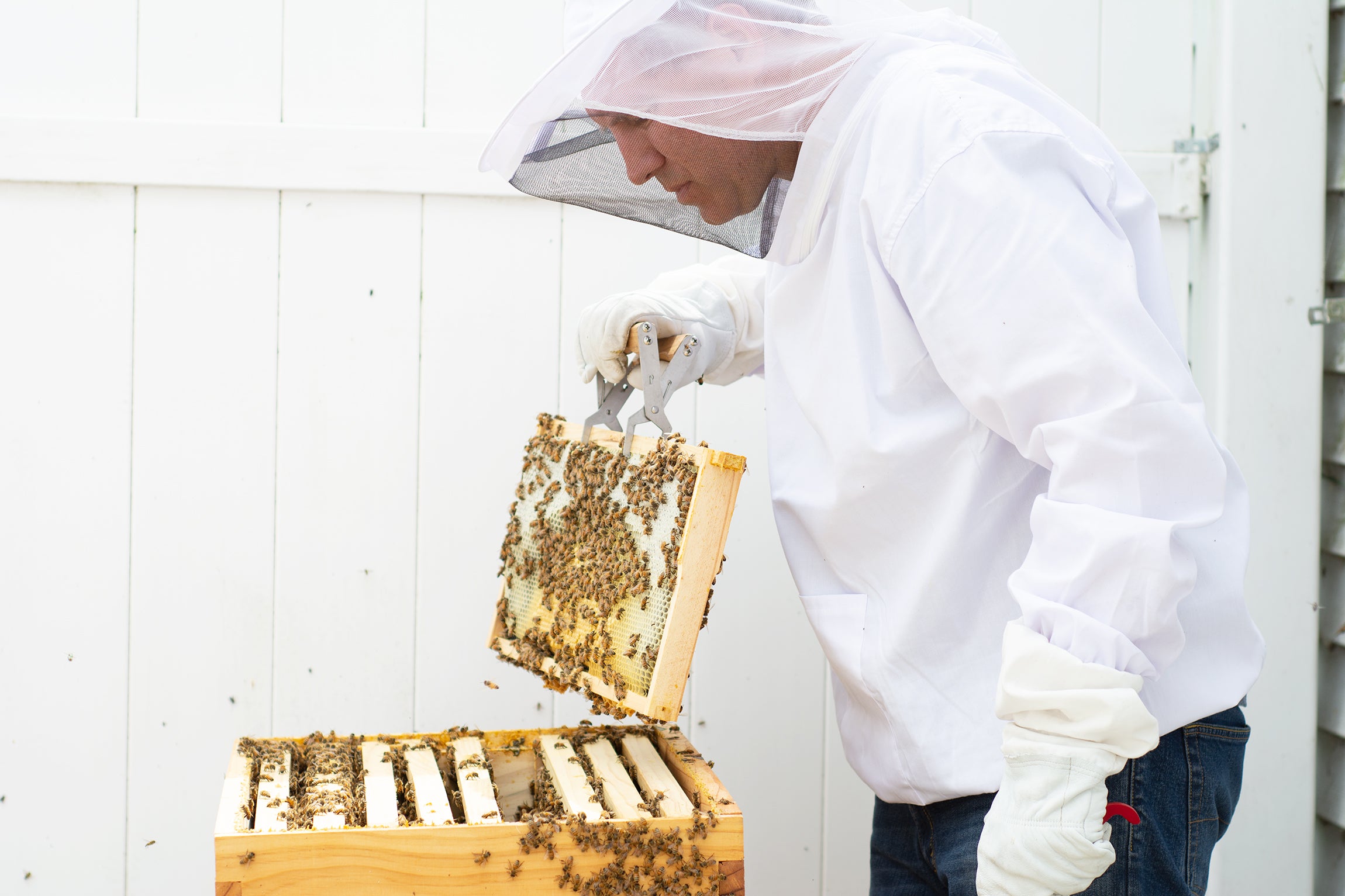 man wearing Extra Large Beekeeping Jacket