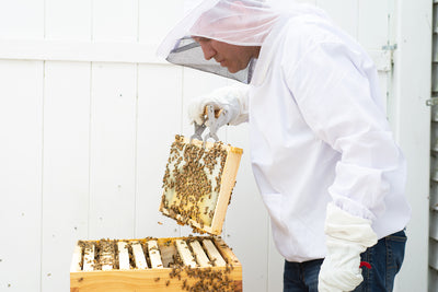 man wearing Extra Large Beekeeping Jacket
